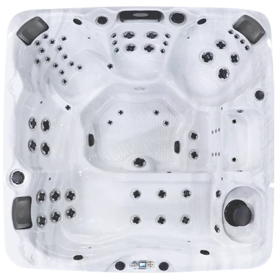 Avalon EC-867L hot tubs for sale in Alpharetta