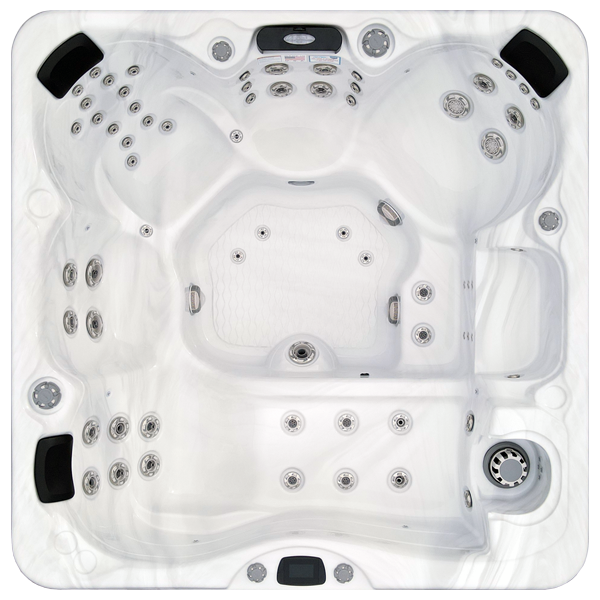 Avalon-X EC-867LX hot tubs for sale in Alpharetta